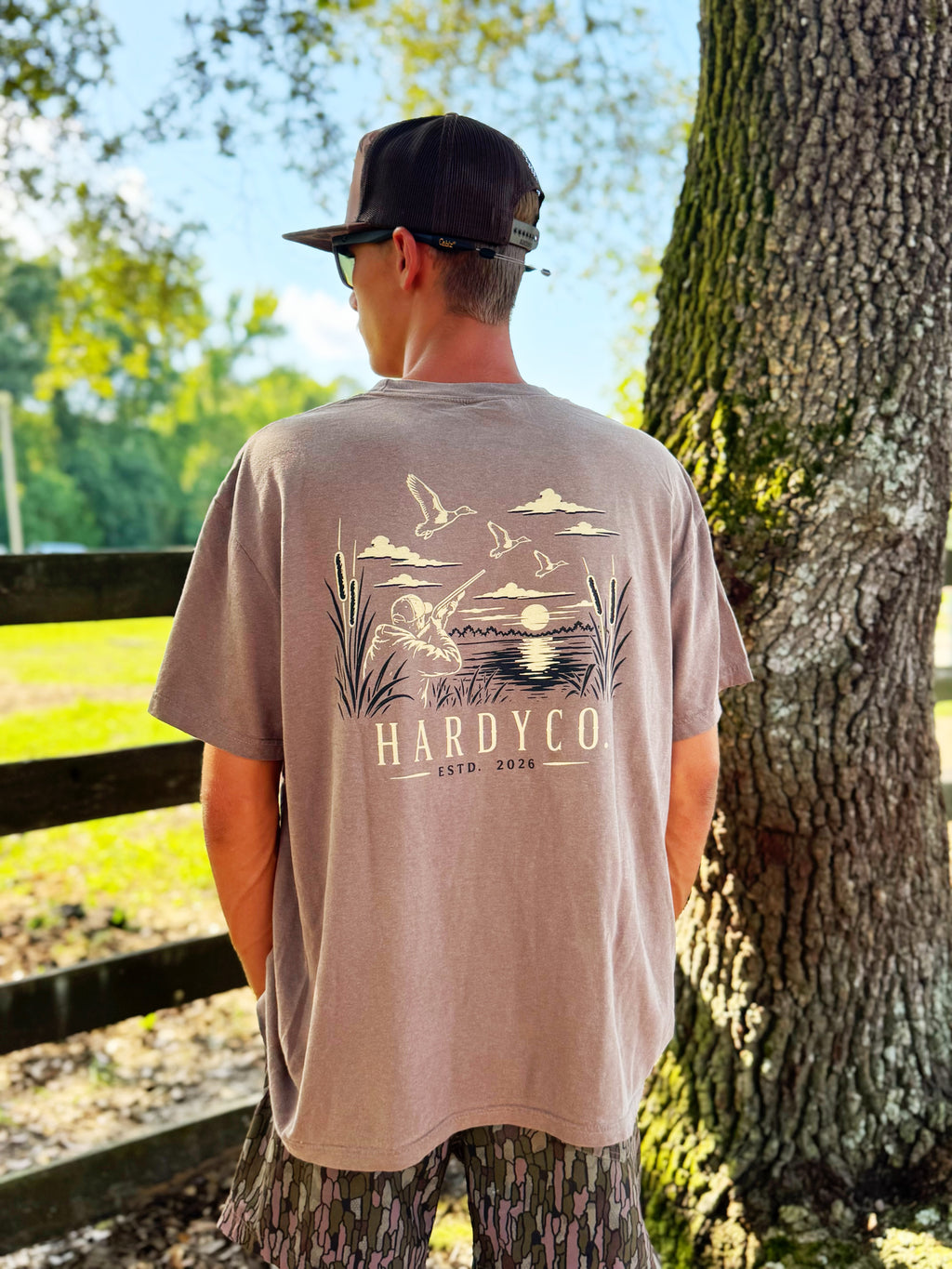 Brown Hardy co. T
