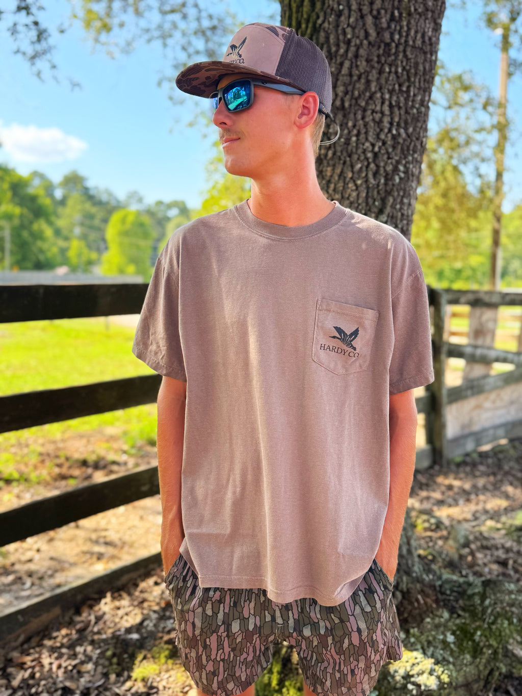 Brown Hardy co. T